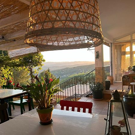 Bed and Breakfast El Nispero Dulce Alcaucín Zewnętrze zdjęcie